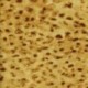 Leopard 003