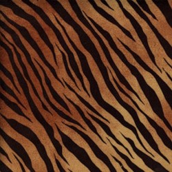 Tiger 002